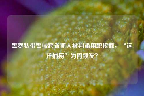 警察私带警械跨省抓人被判滥用职权罪，“远洋捕捞”为何频发？