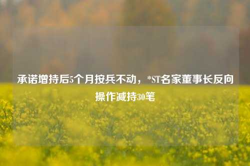 承诺增持后5个月按兵不动，*ST名家董事长反向操作减持30笔