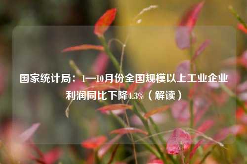 国家统计局：1—10月份全国规模以上工业企业利润同比下降4.3%（解读）