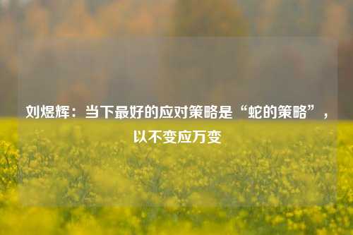 刘煜辉：当下最好的应对策略是“蛇的策略”，以不变应万变