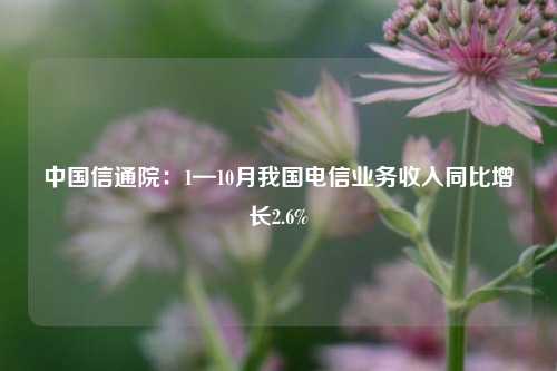 中国信通院：1—10月我国电信业务收入同比增长2.6%