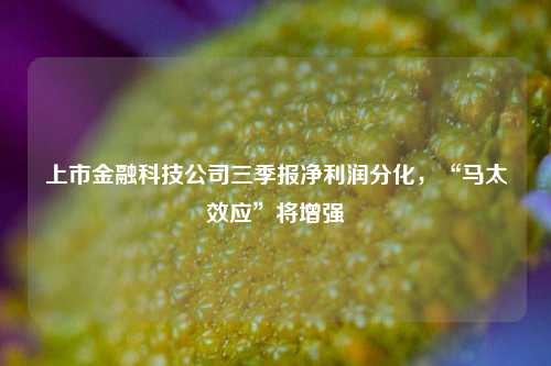 上市金融科技公司三季报净利润分化，“马太效应”将增强