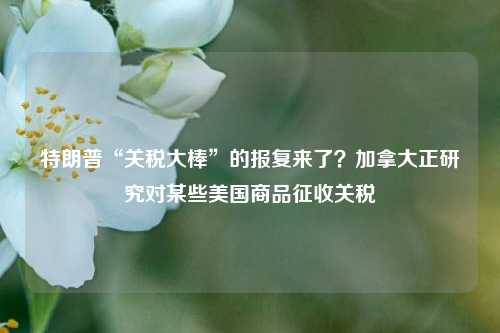 特朗普“关税大棒”的报复来了？加拿大正研究对某些美国商品征收关税