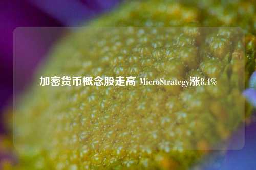 加密货币概念股走高 MicroStrategy涨8.4%