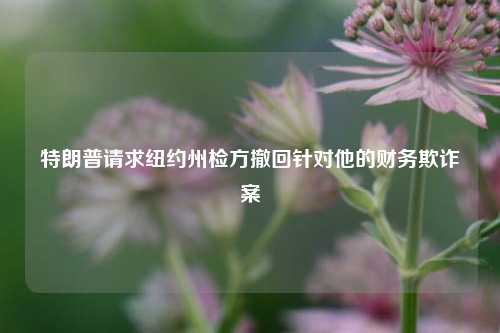 特朗普请求纽约州检方撤回针对他的财务欺诈案