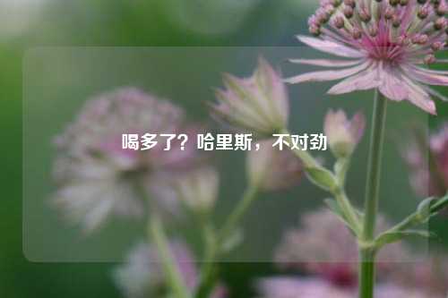 喝多了？哈里斯，不对劲